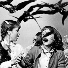 Kraai (snippet) -new edit-