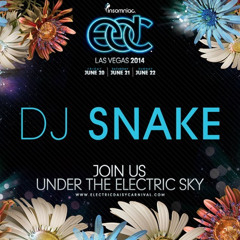 DJ SNAKE world premieres DJ SUB ZERO "STICKEM" at EDC LAS VEGAS 2014 mainstage