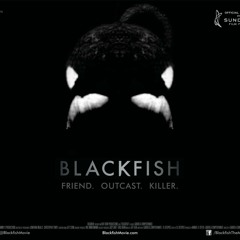 Blackfish  -Jeff Beal