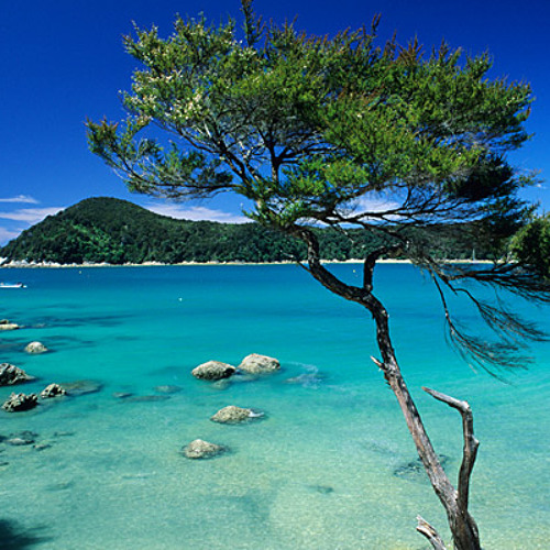 zeitlos durch die zukunft