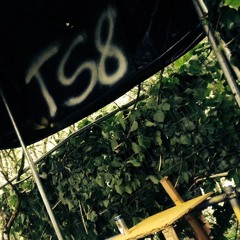 Inness, Rayner & Chippy Colm Doyle Track 4