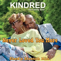 Kindred The Family Soul - Never Loved You More (Sheds Stretch Mix)