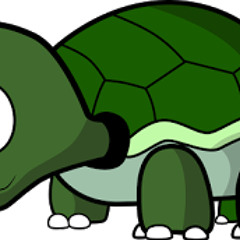 Turtle '14