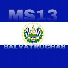 MS13 - TLS SOMOS MS13