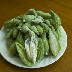 MantranMarmadukesMembranesMantaraysMermaids