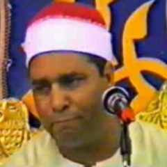الشيخ .. محمد الليثي