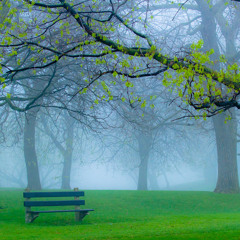 ياحلو صبح..محمد قنديل