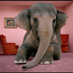 The Elephant Room