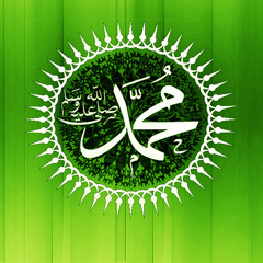 Muhammad Hamaray Bari Shan Walay