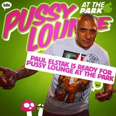 Live Set Pussylounge At The Park 14-06-14
