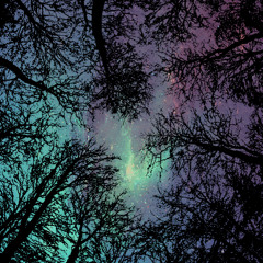 Nature (Prod by Ludick)