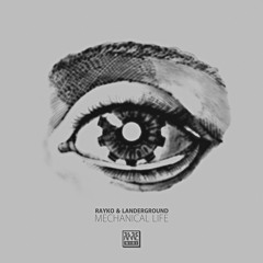 [Rare Wiri] Rayko & Landerground - Mechanical Life (96 kbps)