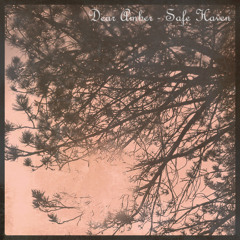 Safe Haven - EP by Dear Amber