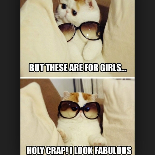 Stream We All Die Young Steel Dragon "Rockstar Soundtrack" (Nat's