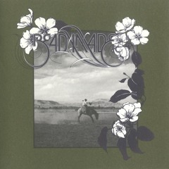 A Fire in the Forest (feat. David Sylvian)