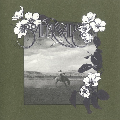 A Fire in the Forest (feat. David Sylvian)