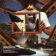 Pedro Aguiar - Sonic Canvas (Navar's Hedgehog Redo)
