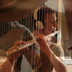 Alto Flute and Harp Duet - Midnight Oil