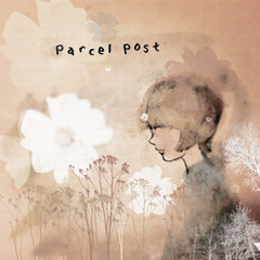 Parcel Post - Centimetres