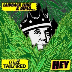 Laidback Luke & Diplo-Hey (Well Tailored Bootleg) *Free Download*