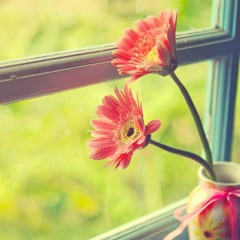 اعْلَمُوا أَنَّمَا الْحَيَاةُ الدُّنْيَا لَعِبٌ وَلَهْوٌ وَزِينَةٌ