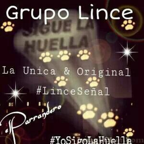 Grupo Lince - Cuando los Frijoles Bailan ღYo Sigo la Huellaღ ((♬✯εLPαяяαŋdεяO✯♬))