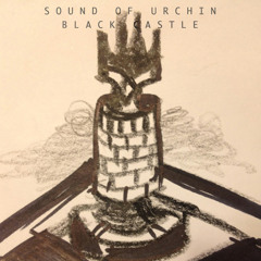 The Sound Of Urchin - Build This House [sample]