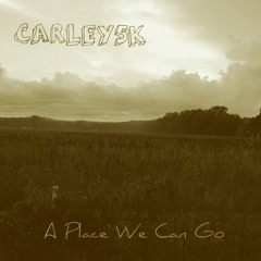 A Place We Can Go. Produced And Writen By John Carley (CARLEY5K)