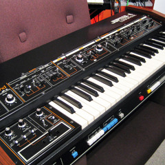 JP4