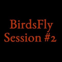 Live @ Birdsfly Session 2