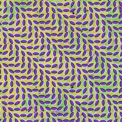 Brother Sport - Animal Collective (cover)