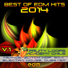 EDM140 - Best of EDM Hits 2014 - Fruity Loops Academy Chile, Vol. 1 - full album quick mix