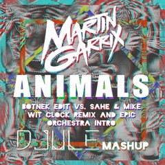 Martin Garrix - Animals (DJule Mashup)