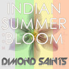 Indian Summer Bloom (Dimond Saints Remix)