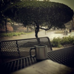 On the Radio (Regina Spektor cover)