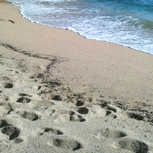 Soft tracks