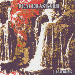 PEACEBASTARD - You're Fake