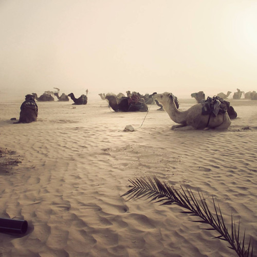 We Can Go Everywhere (Radio Edit)