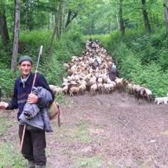 های برو (مازندرانی) شمالی