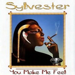 Sylvester, You Make Me Feel -  With a Twist - nebottoben