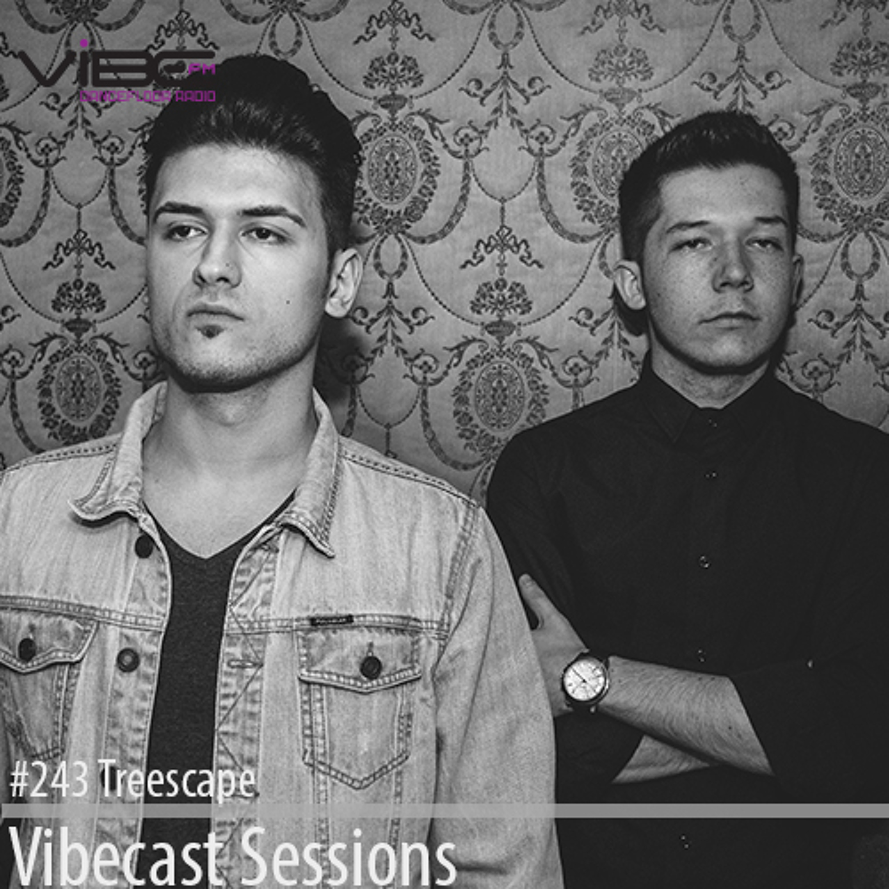 Vibecast Sessions