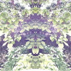 Leander janik & Lilli - Papaya (remix Tina)