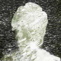 Wah wah wah (sketch)