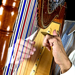 7 Notas musicales/Che La Reina