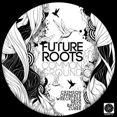 Future Roots,Offbeats - Where Have You Gone