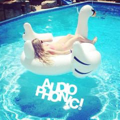 AUDIOPHONIC! - Poolside Essentials 2014