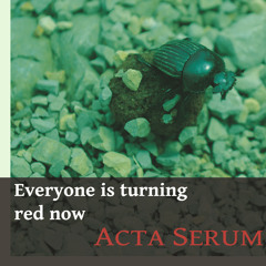 08 Acta Serum - We Are Not Heroes But Still