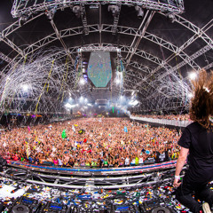 Tommy Trash - Live at Electric Daisy Carnival 2014