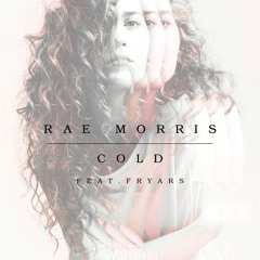 Cold feat. Fryars (Paul Woolford Remix)