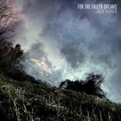 For the Fallen Dreams - The Big Empty